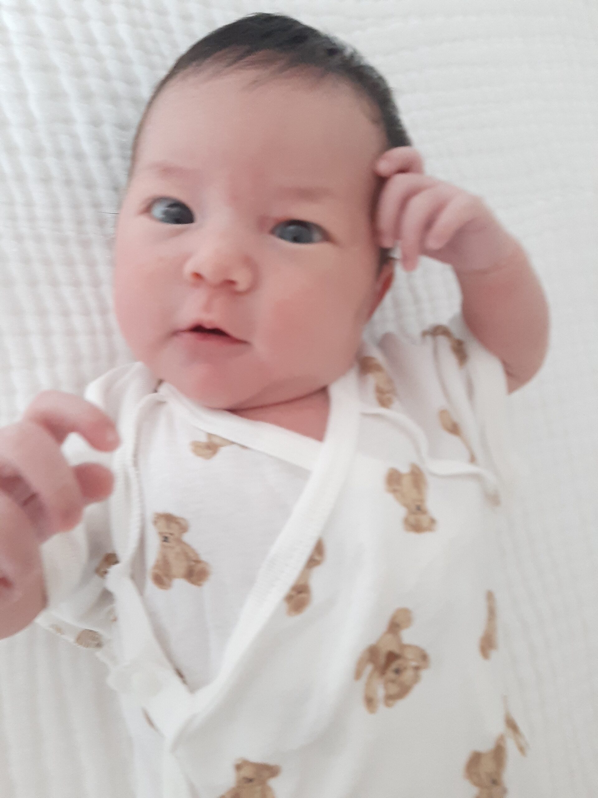 ホームページ用